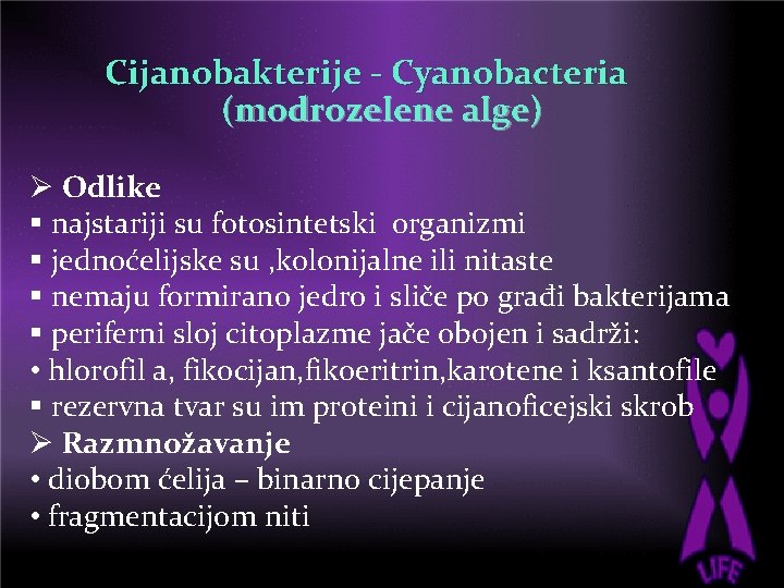 Cijanobakterije - Cyanobacteria (modrozelene alge) Ø Odlike § najstariji su fotosintetski organizmi § jednoćelijske