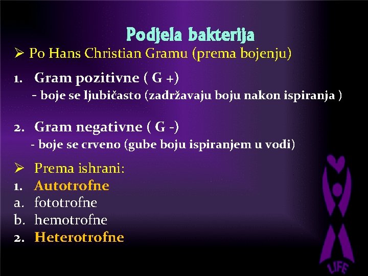 Podjela bakterija Ø Po Hans Christian Gramu (prema bojenju) 1. Gram pozitivne ( G