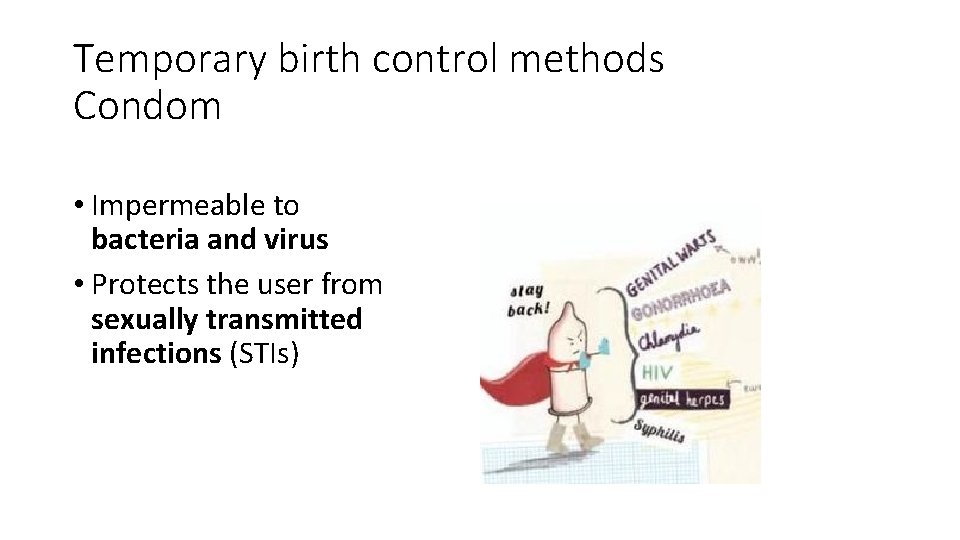 Temporary birth control methods Condom • Impermeable to bacteria and virus • Protects the
