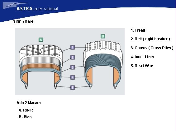 TIRE / BAN 1. Tread 2. Belt ( rigid breaker ) 3. Carcas (