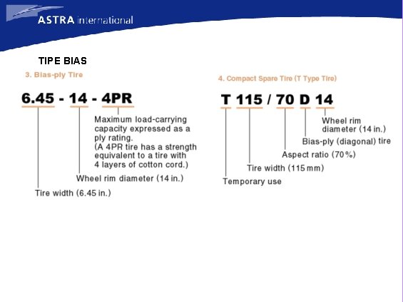 TIPE BIAS 
