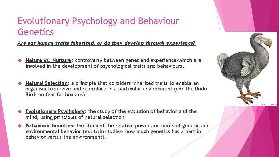 Evolutionary Psychology and Behaviour Genetics Are our human traits inherited, or do they develop