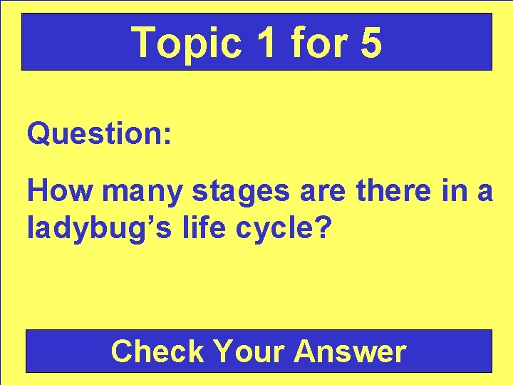 Topic 1 for 5 Question: How many stages are there in a ladybug’s life