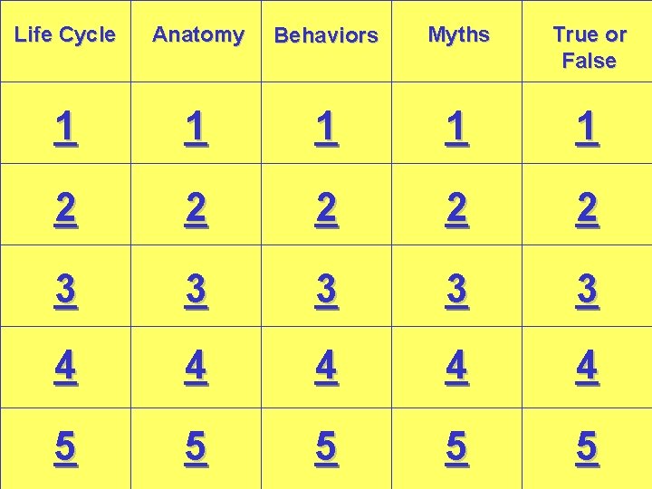 Life Cycle Anatomy Behaviors Myths True or False 1 1 1 2 2 2