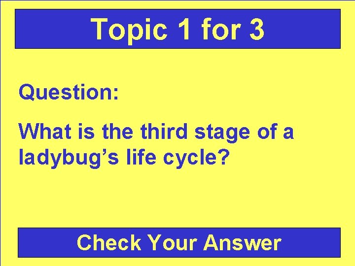 Topic 1 for 3 Question: What is the third stage of a ladybug’s life
