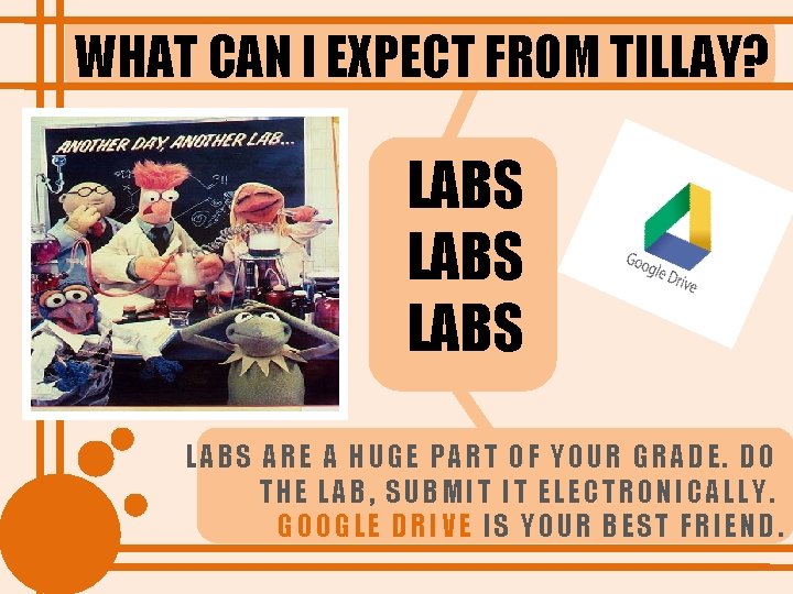 WHAT CAN I EXPECT FROM TILLAY? LABS ARE A HUGE PART OF YOUR GRADE.