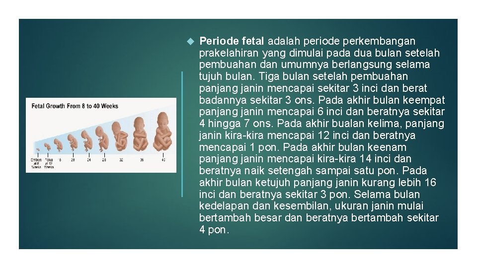  Periode fetal adalah periode perkembangan prakelahiran yang dimulai pada dua bulan setelah pembuahan