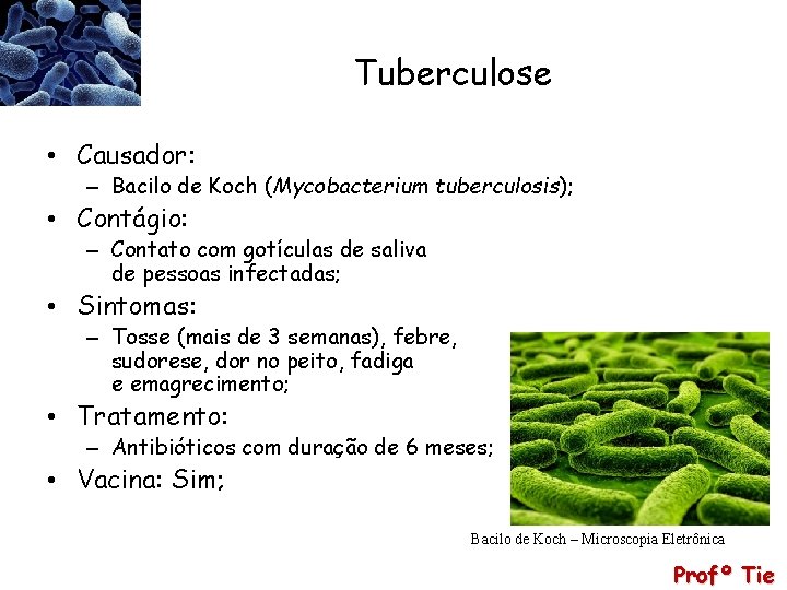 Tuberculose • Causador: – Bacilo de Koch (Mycobacterium tuberculosis); • Contágio: – Contato com