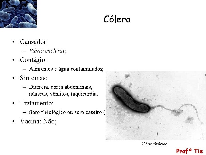Cólera • Causador: – Vibrio cholerae; • Contágio: – Alimentos e água contaminados; •