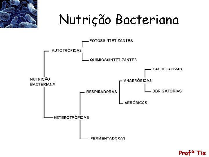 Nutrição Bacteriana Profº Tie 