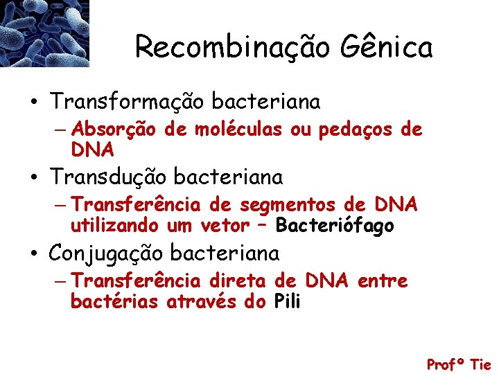 Recombinação Gênica • Transformação bacteriana – Absorção de moléculas ou pedaços de DNA •