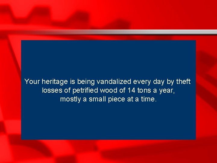 Your heritage is being vandalized every day by theft losses of petrified wood of