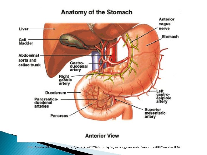 http: //www. nfl. com/gamecenter? game_id=29294&display. Page=tab_gamecenter&season=2007&week=REG 7 