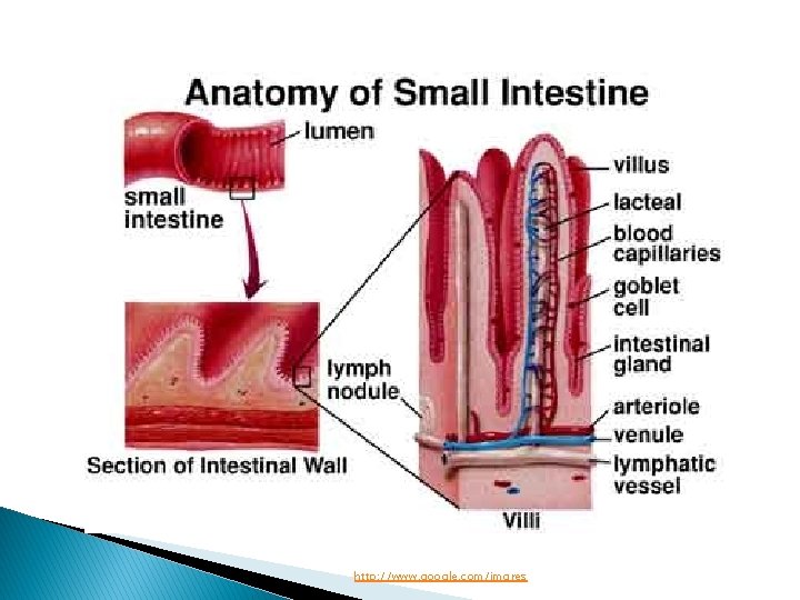 http: //www. google. com/imgres 