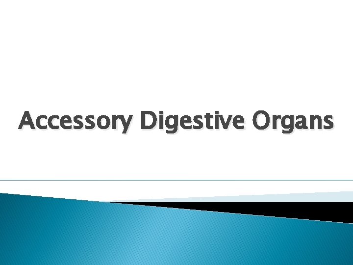 Accessory Digestive Organs 