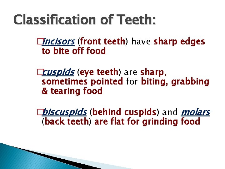 Classification of Teeth: �incisors (front teeth) have sharp edges to bite off food �cuspids