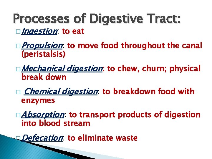 Processes of Digestive Tract: � Ingestion: to eat � Propulsion: to move food throughout
