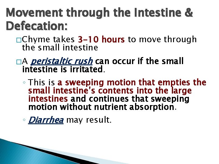 Movement through the Intestine & Defecation: � Chyme takes 3 -10 hours to move