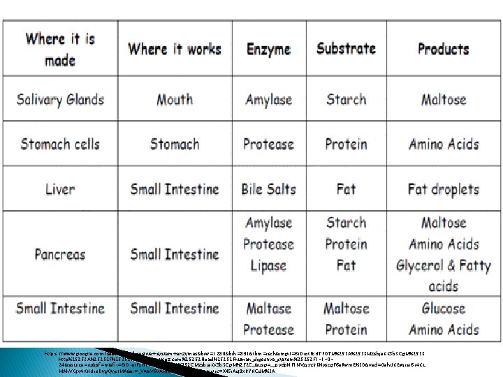 https: //www. google. com/search? q=digestive+system+enzymes&biw=1280&bih=891&tbm=isch&imgil=6 IDrot. Fc. HTPOTM%253 A%253 BMzsbja. KKSb 3 Cg. M%253