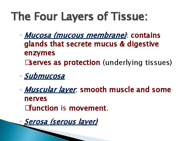 The Four Layers of Tissue: ◦ Mucosa (mucous membrane): contains glands that secrete mucus