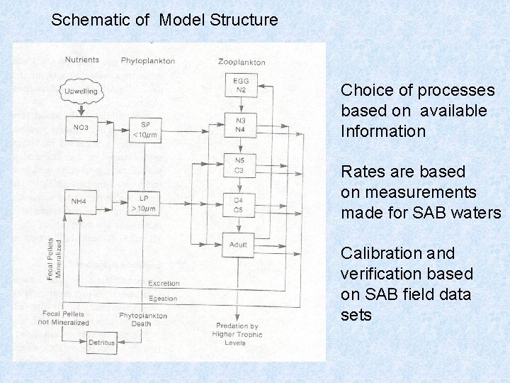 Schematic of Model Structure Choice of processes based on available Information Rates are based