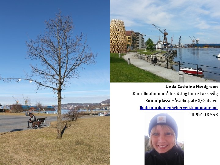 Linda Cathrine Nordgreen Koordinator områdesatsing Indre Laksevåg Kontorplass: Håsteinsgate 3/Gnisten linda. nordgreen@bergen. kommune. no