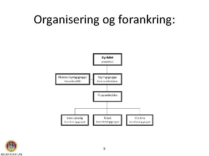 Organisering og forankring: 9 