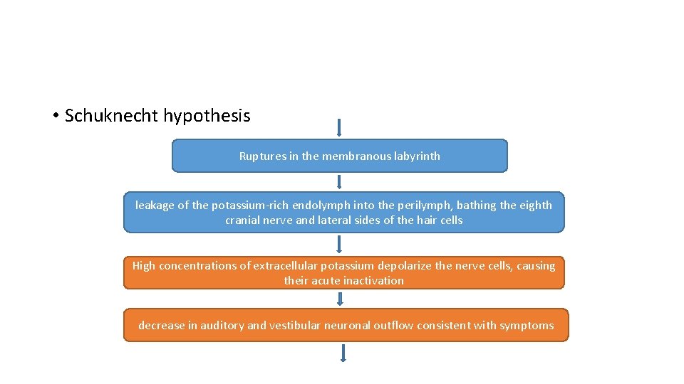  • Schuknecht hypothesis Ruptures in the membranous labyrinth leakage of the potassium-rich endolymph