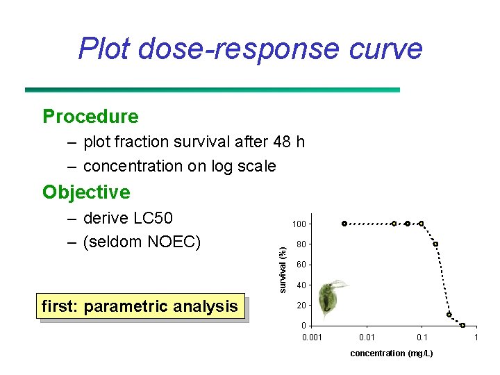 Plot dose-response curve Procedure – plot fraction survival after 48 h – concentration on