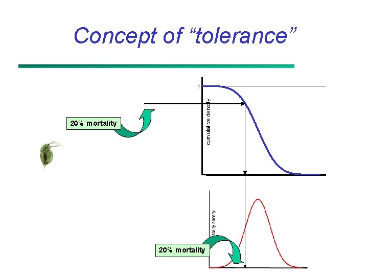 Concept of “tolerance” 20% mortality cumulative density 1 20% mortality 