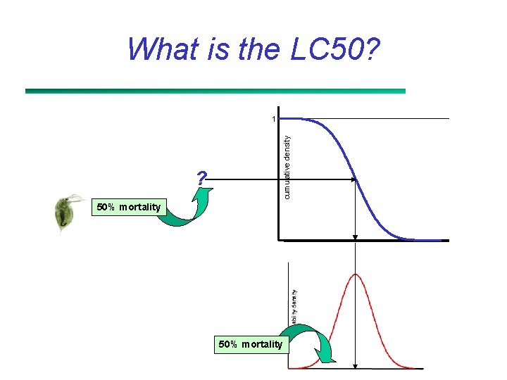 What is the LC 50? ? cumulative density 1 50% mortality 