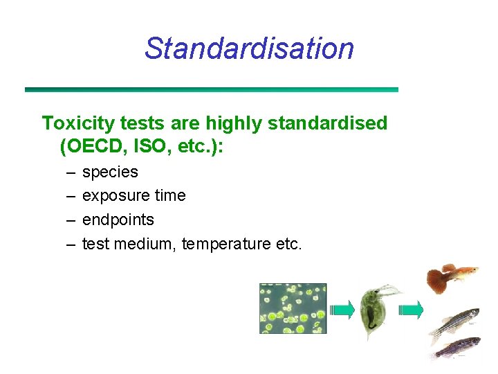 Standardisation Toxicity tests are highly standardised (OECD, ISO, etc. ): – – species exposure