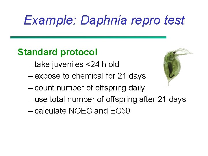 Example: Daphnia repro test Standard protocol – take juveniles <24 h old – expose