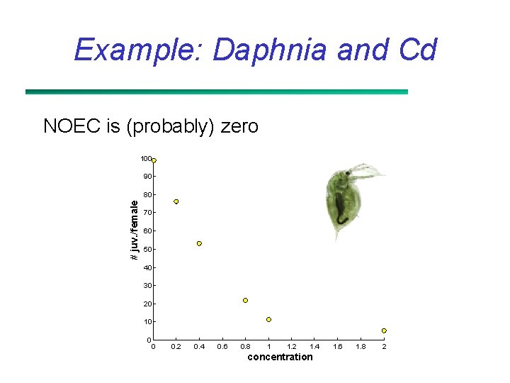 Example: Daphnia and Cd NOEC is (probably) zero 100 90 # juv. /female 80