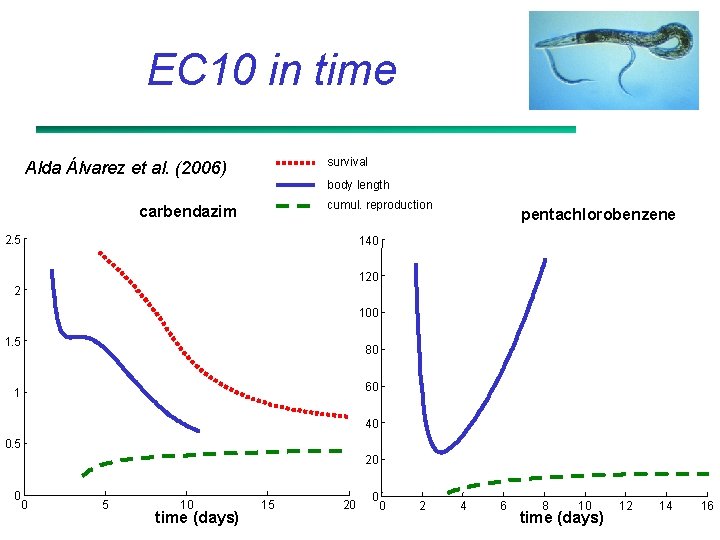 EC 10 in time survival Alda Álvarez et al. (2006) body length cumul. reproduction