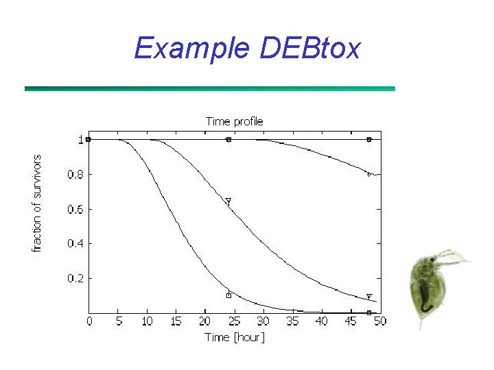 Example DEBtox 