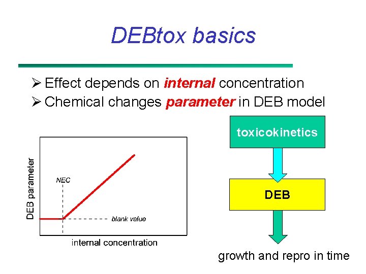 DEBtox basics Ø Effect depends on internal concentration Ø Chemical changes parameter in DEB