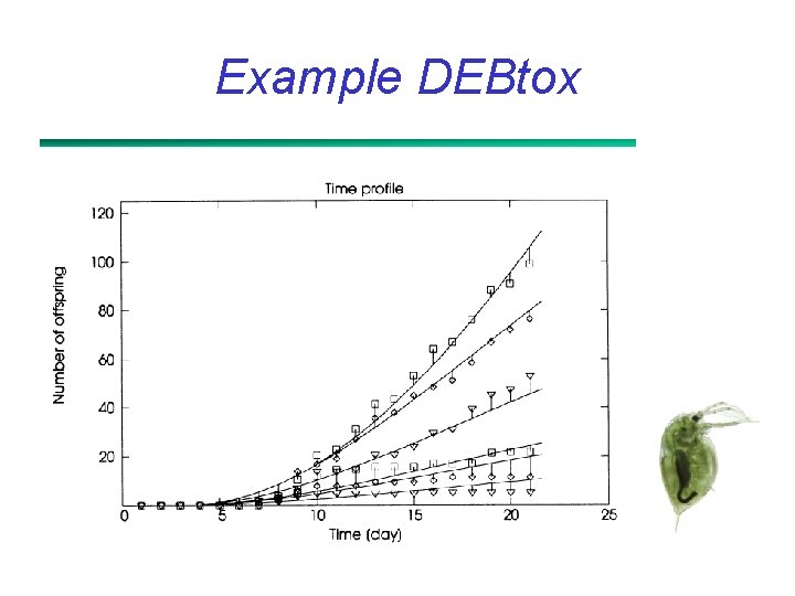 Example DEBtox 