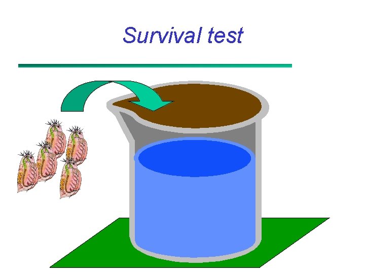 Survival test 