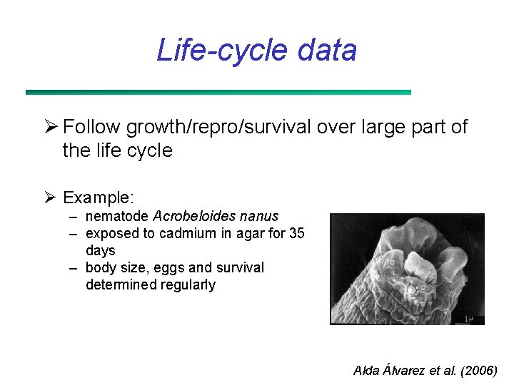 Life-cycle data Ø Follow growth/repro/survival over large part of the life cycle Ø Example: