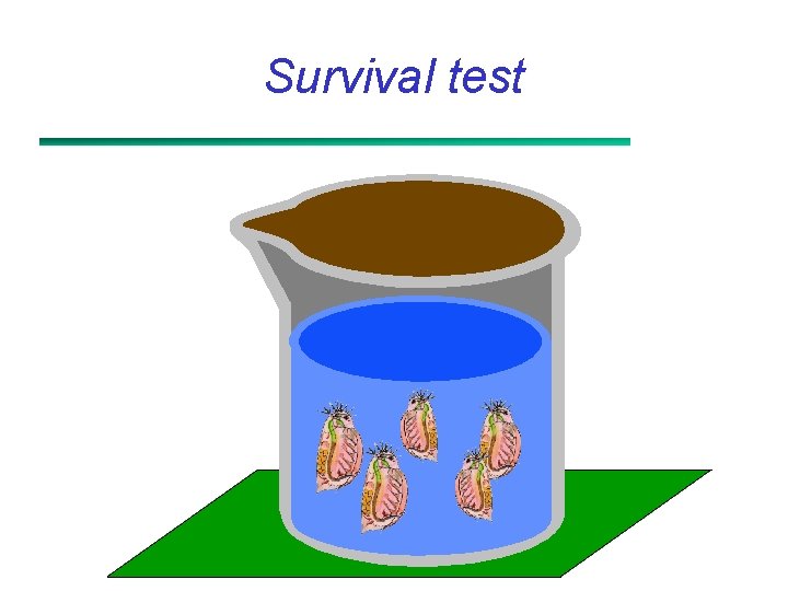 Survival test 