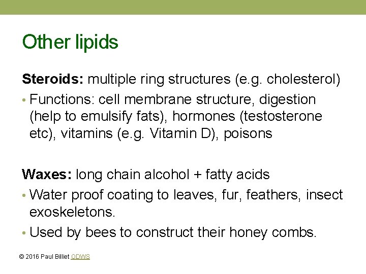 Other lipids Steroids: multiple ring structures (e. g. cholesterol) • Functions: cell membrane structure,