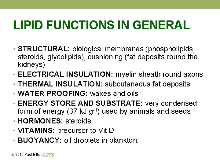 LIPID FUNCTIONS IN GENERAL • STRUCTURAL: biological membranes (phospholipids, steroids, glycolipids), cushioning (fat deposits