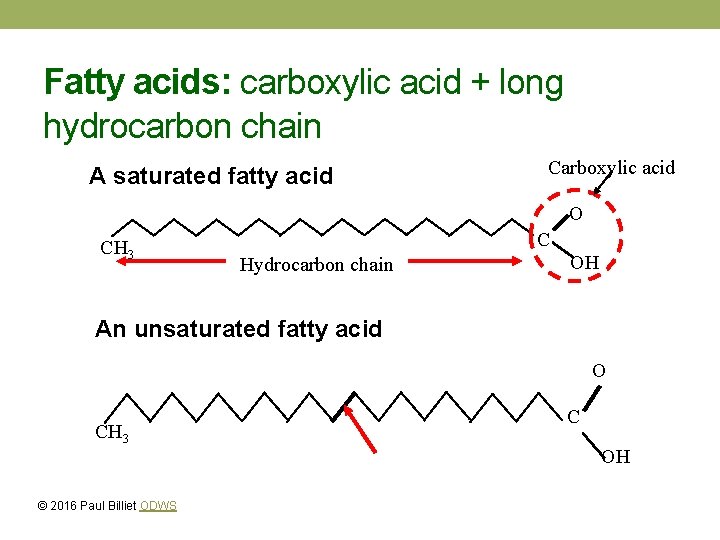 Fatty acids: carboxylic acid + long hydrocarbon chain A saturated fatty acid Carboxylic acid