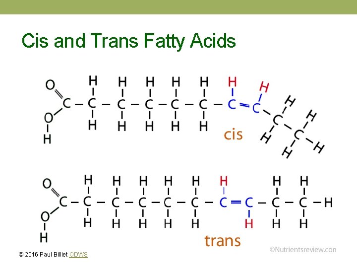 Cis and Trans Fatty Acids © 2016 Paul Billiet ODWS 