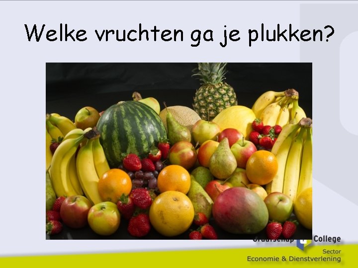 Welke vruchten ga je plukken? 