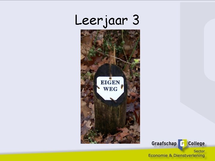 Leerjaar 3 