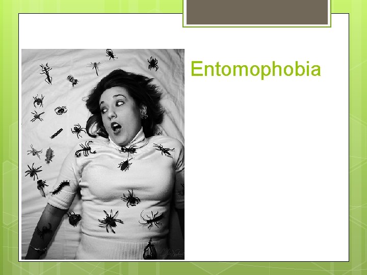 Entomophobia 