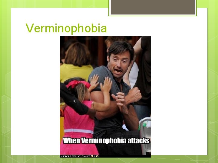 Verminophobia 