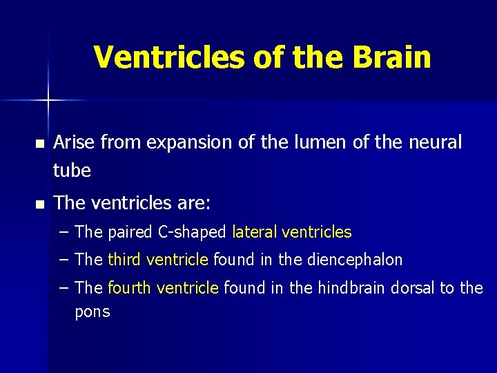 Ventricles of the Brain n Arise from expansion of the lumen of the neural